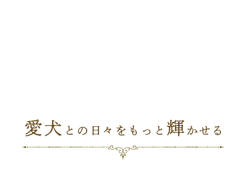 愛犬との日々をもっと輝かせる