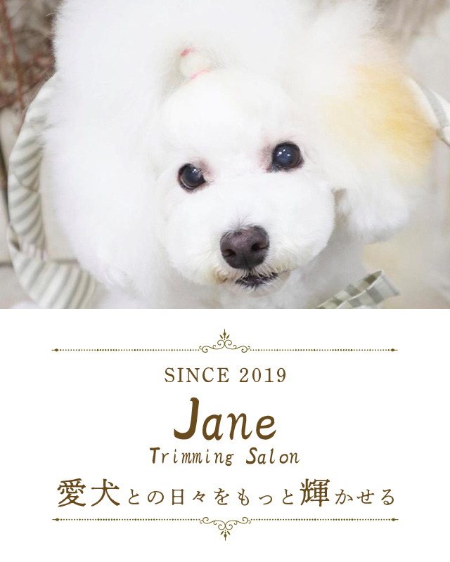 Trimming Salon Jane