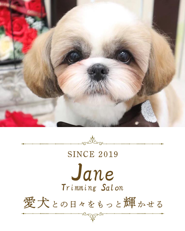 Trimming Salon Jane